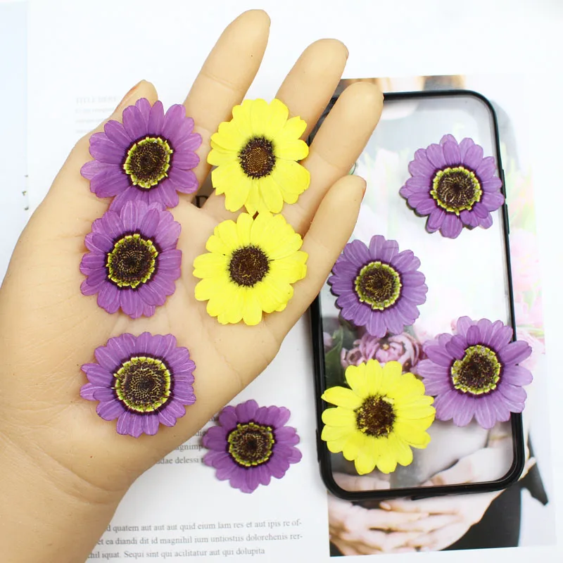 40 Stück gepresste getrocknete – Yellow Phone Accessories Bewertung und Preis